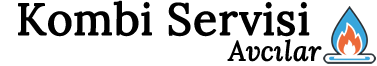finza